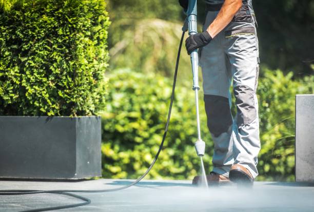 Best Sidewalk and Walkway Cleaning  in Minerva, OH